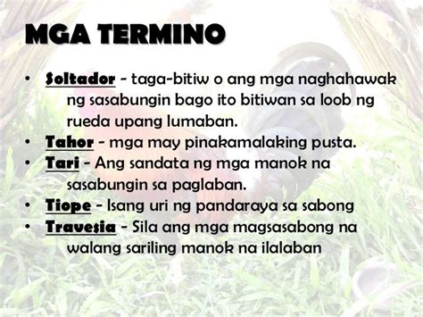 tawagan sa sabong